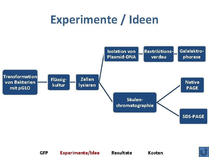 Experimente / Ideen Isolation von Plasmid-DNA Transformation von Bakterien mit p. GLO Flüssigkultur Restrikitionsverdau