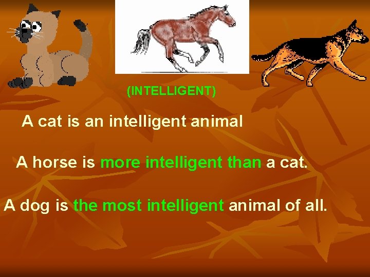 (INTELLIGENT) A cat is an intelligent animal A horse is more intelligent than a