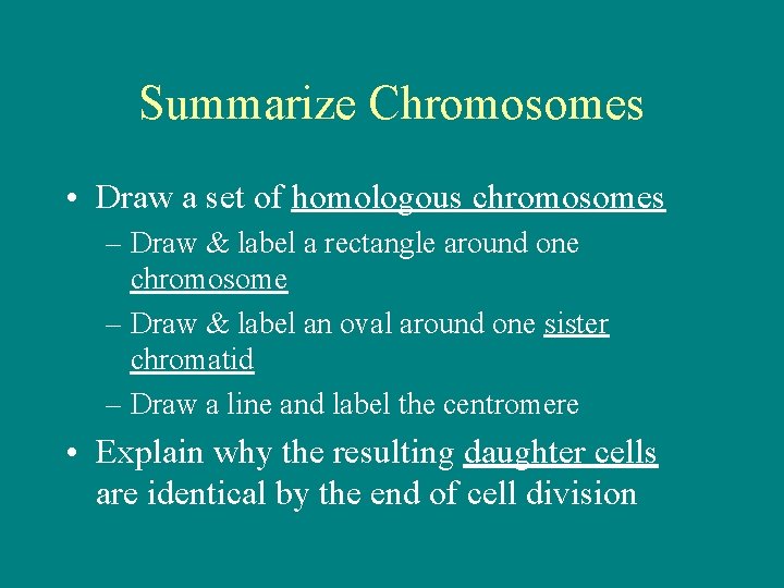 Summarize Chromosomes • Draw a set of homologous chromosomes – Draw & label a