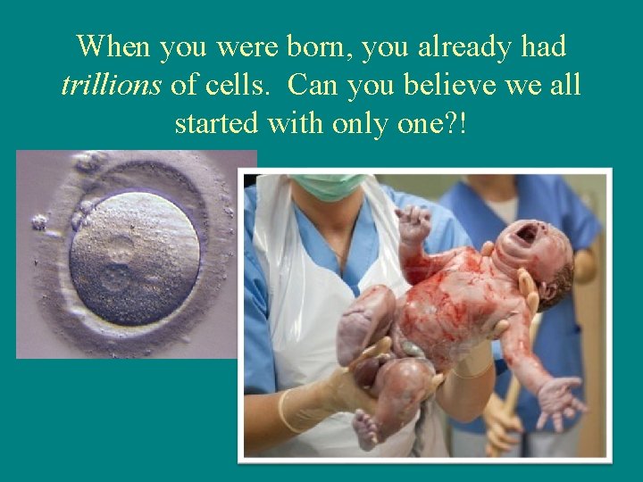 When you were born, you already had trillions of cells. Can you believe we