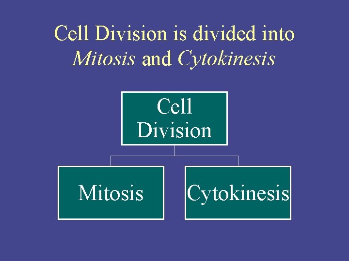 Cell Division is divided into Mitosis and Cytokinesis Cell Division Mitosis Cytokinesis 