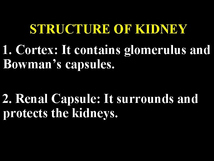 STRUCTURE OF KIDNEY 1. Cortex: It contains glomerulus and Bowman’s capsules. 2. Renal Capsule:
