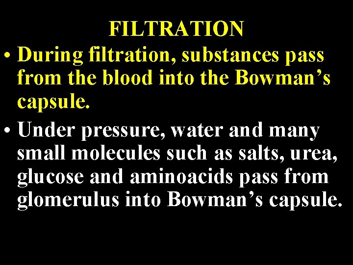FILTRATION • During filtration, substances pass from the blood into the Bowman’s capsule. •