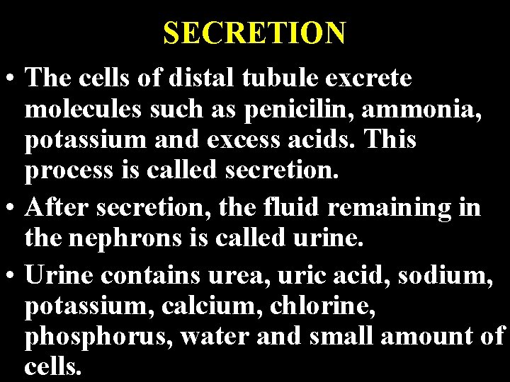 SECRETION • The cells of distal tubule excrete molecules such as penicilin, ammonia, potassium