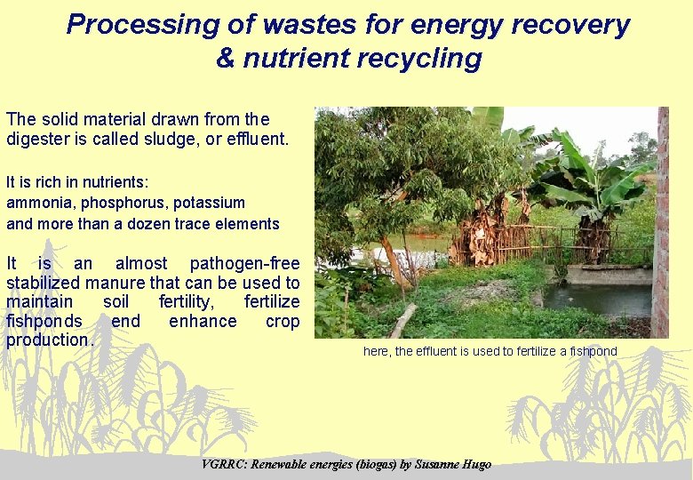 Processing of wastes for energy recovery & nutrient recycling The solid material drawn from