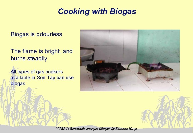 Cooking with Biogas is odourless The flame is bright, and burns steadily All types