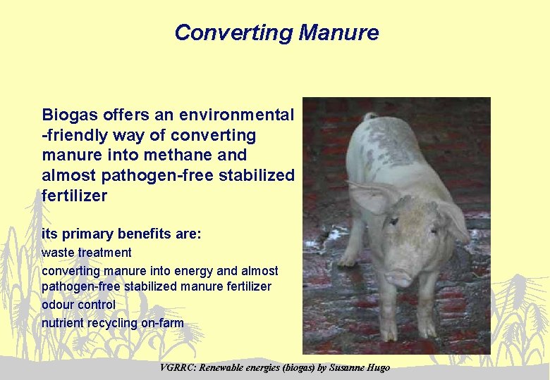 Converting Manure Biogas offers an environmental -friendly way of converting manure into methane and