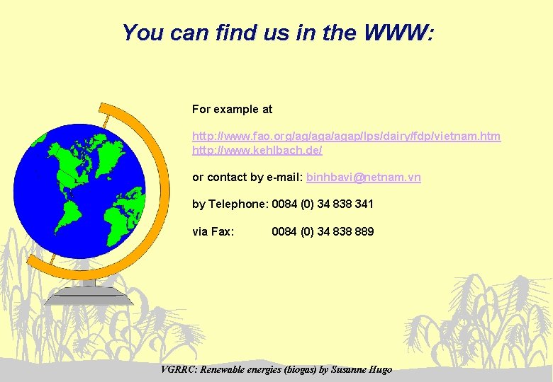 You can find us in the WWW: For example at http: //www. fao. org/ag/agap/lps/dairy/fdp/vietnam.