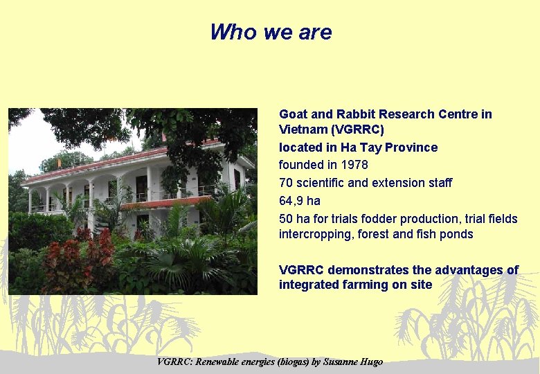 Who we are Goat and Rabbit Research Centre in Vietnam (VGRRC) located in Ha