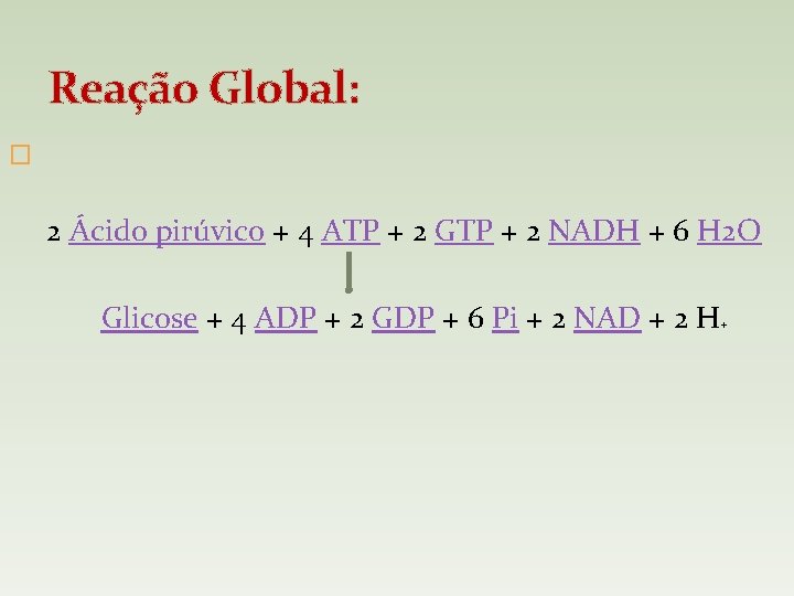 Reação Global: � 2 Ácido pirúvico + 4 ATP + 2 GTP + 2