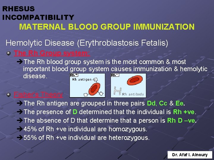 RHESUS INCOMPATIBILITY MATERNAL BLOOD GROUP IMMUNIZATION Hemolytic Disease (Erythroblastosis Fetalis) The Rh Group system: