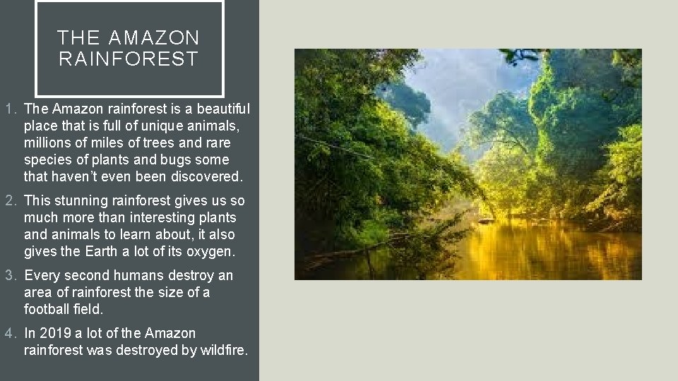THE AMAZON RAINFOREST 1. The Amazon rainforest is a beautiful place that is full