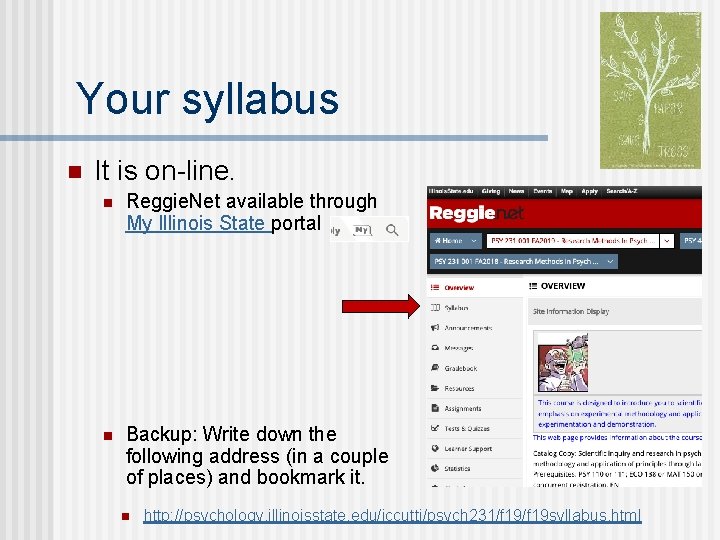 Your syllabus n It is on-line. n Reggie. Net available through My Illinois State