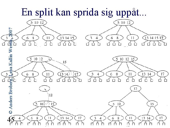 © Anders Broberg, Lena Kallin Westin, 2007 En split kan sprida sig uppåt. .