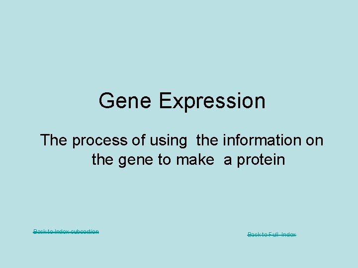 Gene Expression The process of using the information on the gene to make a