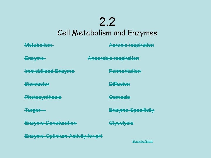 2. 2 Cell Metabolism and Enzymes Metabolism Enzyme Aerobic respiration Anaerobic respiration Immobilised Enzyme