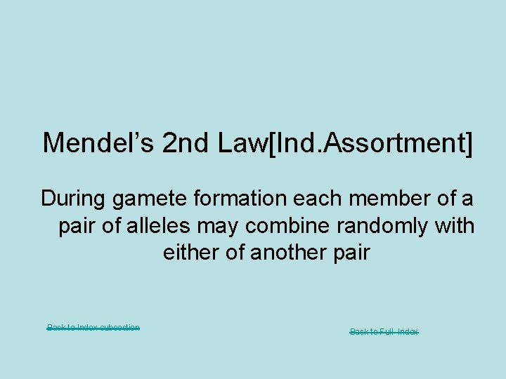 Mendel’s 2 nd Law[Ind. Assortment] During gamete formation each member of a pair of