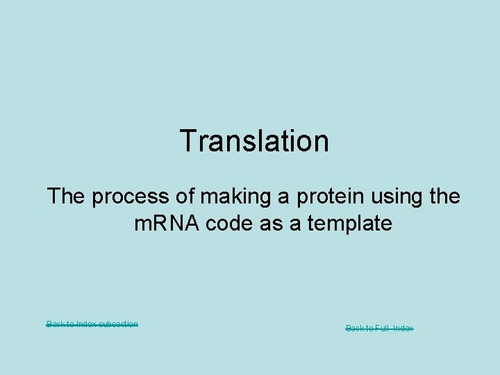 Translation The process of making a protein using the m. RNA code as a