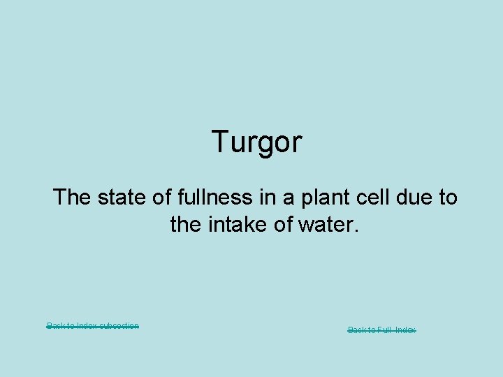 Turgor The state of fullness in a plant cell due to the intake of