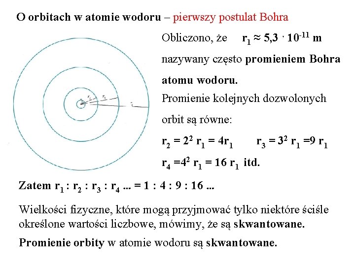 O orbitach w atomie wodoru – pierwszy postulat Bohra Obliczono, że r 1 ≈