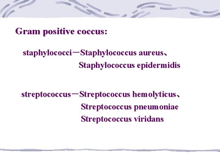 Gram positive coccus: staphylococci－Staphylococcus aureus、 Staphylococcus epidermidis streptococcus－Streptococcus hemolyticus、 Streptococcus pneumoniae Streptococcus viridans 
