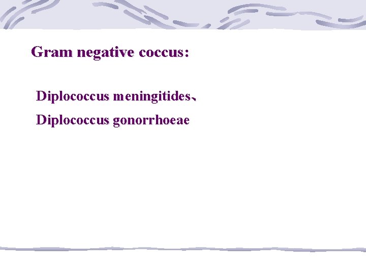 Gram negative coccus: Diplococcus meningitides、 Diplococcus gonorrhoeae 