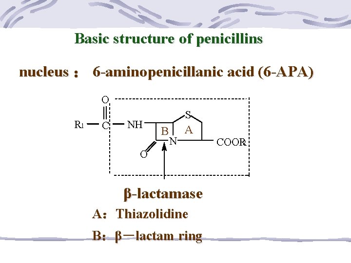 Basic structure of penicillins nucleus ： 6 -aminopenicillanic acid (6 -APA) O R 1