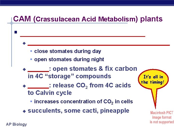 CAM (Crassulacean Acid Metabolism) plants § ________________ u ______________________ § close stomates during day