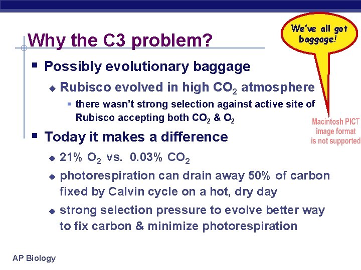 Why the C 3 problem? We’ve all got baggage! § Possibly evolutionary baggage u