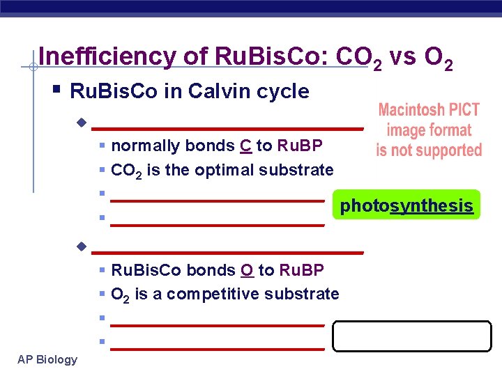 Inefficiency of Ru. Bis. Co: CO 2 vs O 2 § Ru. Bis. Co