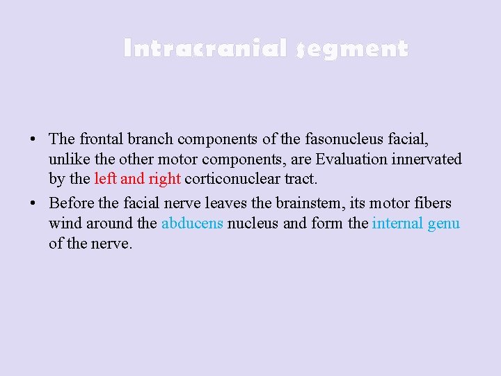 Intracranial segment • The frontal branch components of the fasonucleus facial, unlike the other