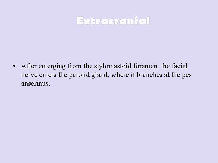 Extracranial • After emerging from the stylomastoid foramen, the facial nerve enters the parotid