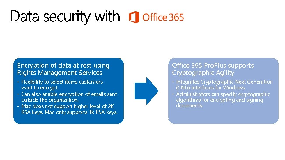 Encryption of data at rest using Rights Management Services Office 365 Pro. Plus supports