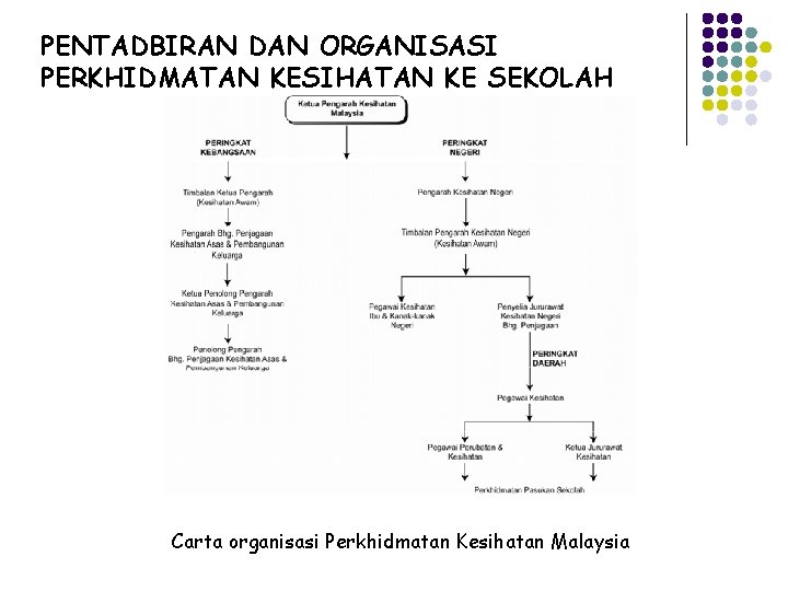 PENTADBIRAN DAN ORGANISASI PERKHIDMATAN KESIHATAN KE SEKOLAH Carta organisasi Perkhidmatan Kesihatan Malaysia 