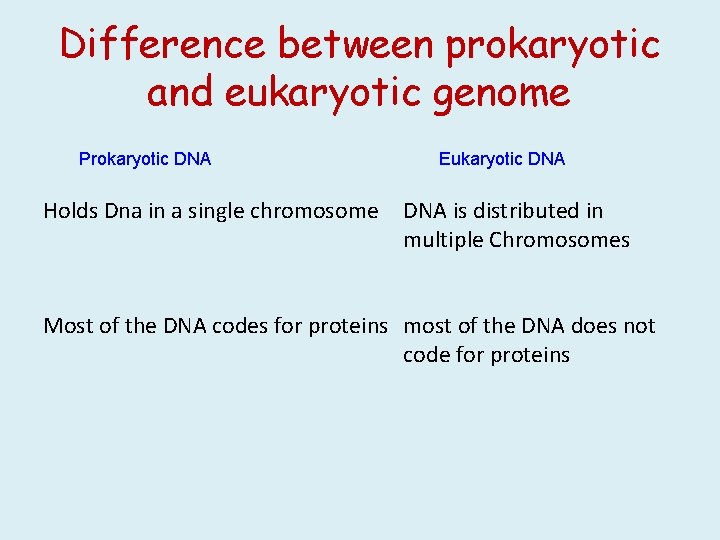 Difference between prokaryotic and eukaryotic genome Prokaryotic DNA Holds Dna in a single chromosome