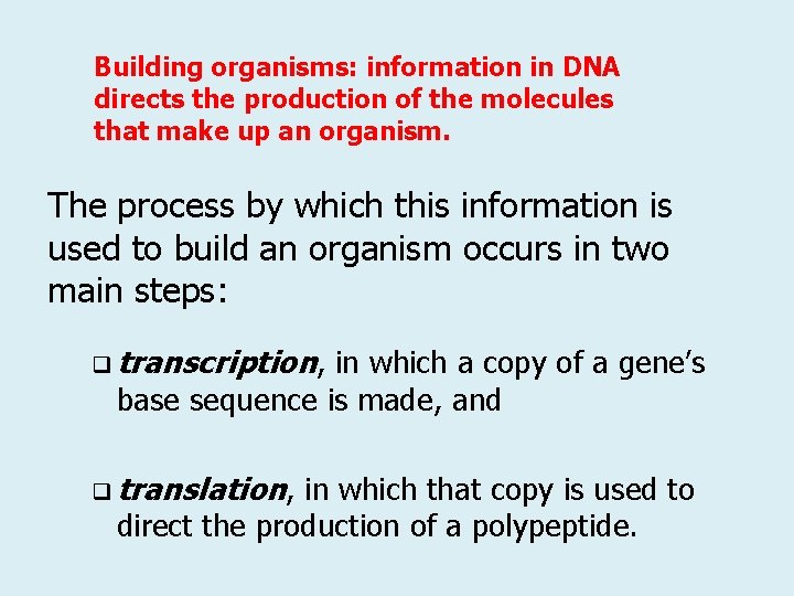 Building organisms: information in DNA directs the production of the molecules that make up