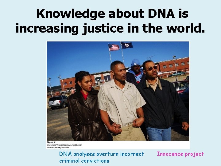 Knowledge about DNA is increasing justice in the world. DNA analyses overturn incorrect criminal