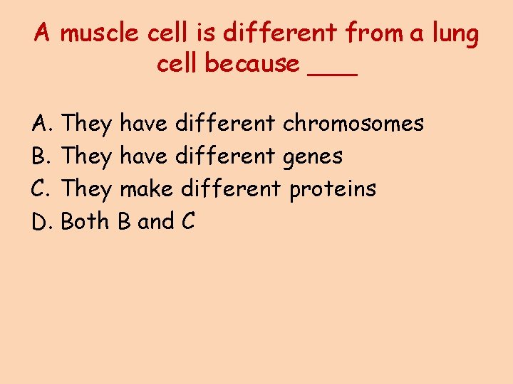 A muscle cell is different from a lung cell because ___ A. They have
