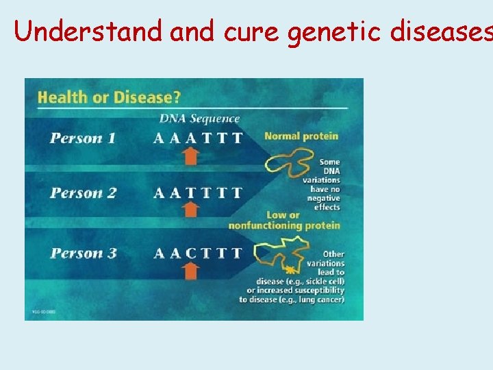 Understand cure genetic diseases 