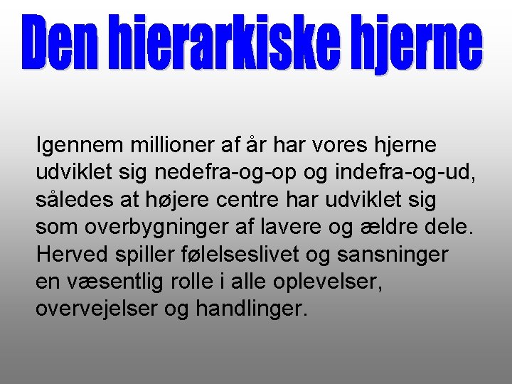 Igennem millioner af år har vores hjerne udviklet sig nedefra-og-op og indefra-og-ud, således at