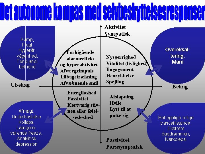 Aktivitet Sympatisk Kamp, Flugt Hyperårvågenhed, Tend-andbefriend Ubehag Afmagt, Underkastelse Kollaps, Længerevarende freeze, Anaklitisk depression
