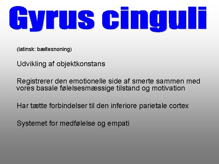 (latinsk: bæltesnoning) Udvikling af objektkonstans Registrerer den emotionelle side af smerte sammen med vores