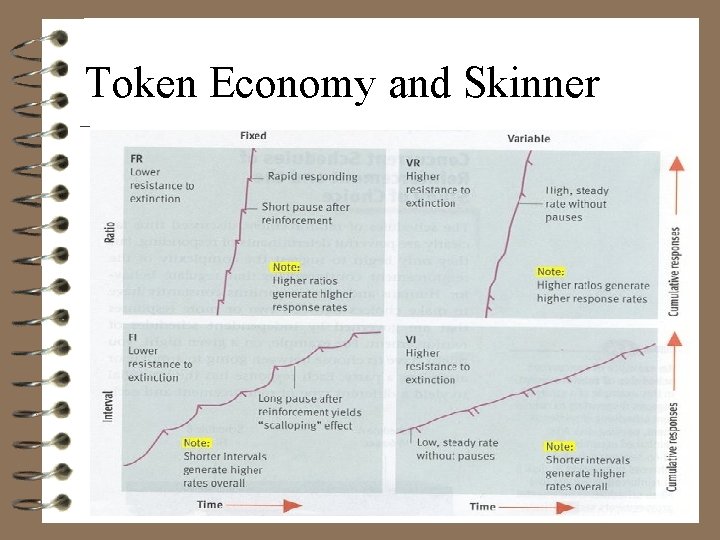 Token Economy and Skinner 
