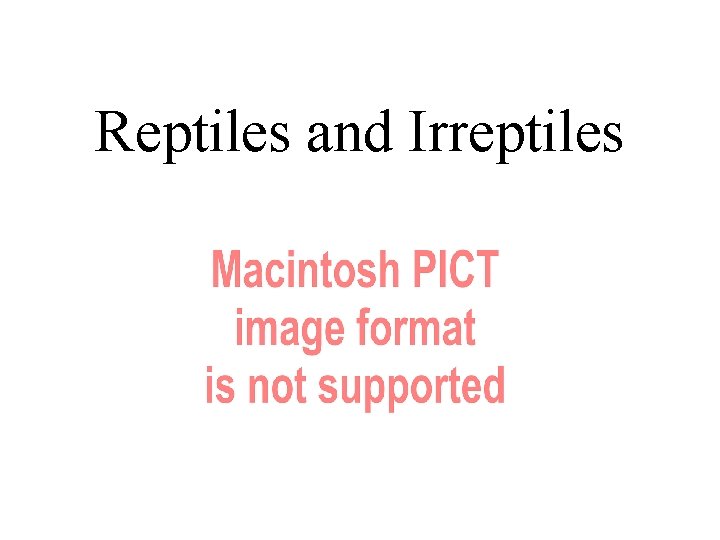 Reptiles and Irreptiles 