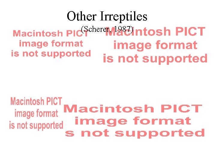 Other Irreptiles (Scherer, 1987) 