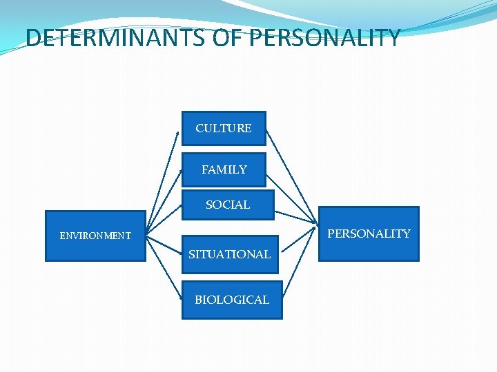 DETERMINANTS OF PERSONALITY CULTURE FAMILY SOCIAL PERSONALITY ENVIRONMENT SITUATIONAL BIOLOGICAL 