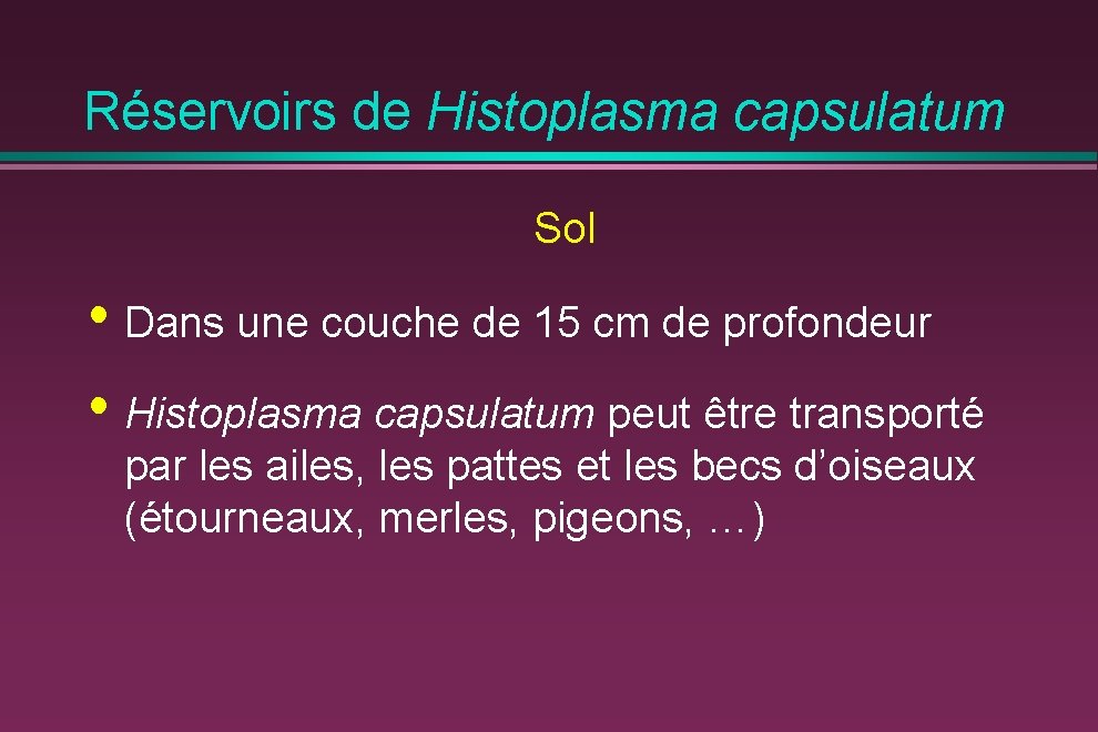 Réservoirs de Histoplasma capsulatum Sol • Dans une couche de 15 cm de profondeur