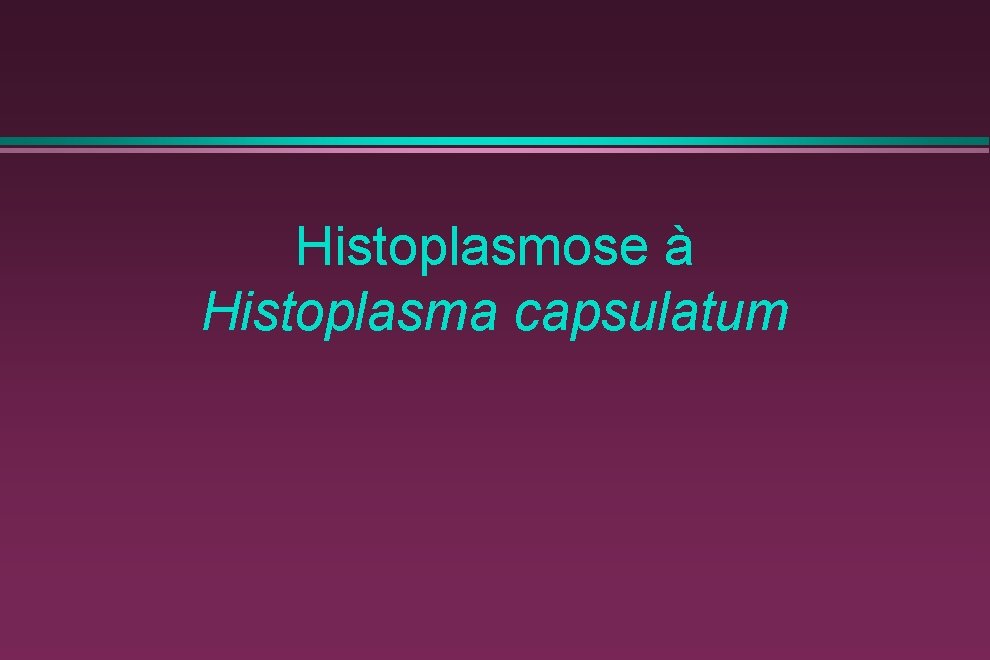 Histoplasmose à Histoplasma capsulatum 