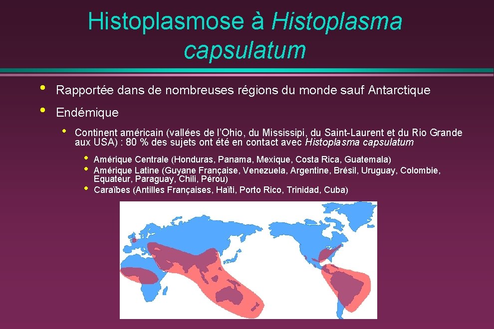 Histoplasmose à Histoplasma capsulatum • • Rapportée dans de nombreuses régions du monde sauf