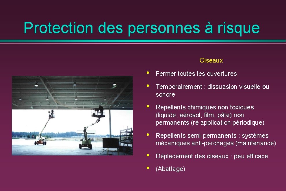 Protection des personnes à risque Oiseaux • • Fermer toutes les ouvertures • Repellents